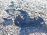5TFBY5F13BX****** Repairable 2011 Toyota Tundra