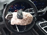 3GNAXHEG6SL****** Salvage 2025 Chevrolet Equinox in Texas State
