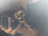 1FMEU5B81AU****** Salvage 2010 Ford Explorer Sport Trac in Michigan State