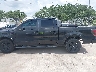 1FTFW1CT3DF****** Reparables 2013 Ford F-150 en Estado de Florida