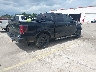 1FTFW1CT3DF****** Salvamento y Destrozados 2013 Ford F-150 en Estado de Florida