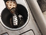 5N1AZ2MH1FN****** Salvage 2015 Nissan Murano in Michigan State