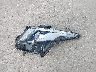 2C3CDXGJXMH****** Wrecked 2021 Dodge Charger in Texas State