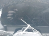 1GNERGRS5SJ****** Wrecked 2025 Chevrolet Traverse
