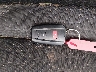 JTNK4RBE3K3****** Salvage 2019 Toyota Corolla in New York State