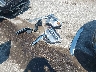 1C6SRFHT9MN****** Wrecked 2021 RAM 1500 in Illinois State