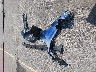 JF2GUHDC9SH****** Wrecked 2025 Subaru Crosstrek in South Carolina State
