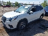 JF2SKACC5RH****** Usados y Reparables 2024 Subaru Forester en Albuquerque