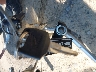 1HFSC18161A****** Salvamento 2001 Honda VT1100 (Shadow Spirit 1100) en Estado de Carolina del Norte
