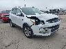 1FMCU0GX8EU****** Salvamento y Destrozados 2014 Ford Escape en Austin