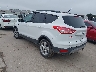 1FMCU0GX8EU****** Salvamento y Reparables 2014 Ford Escape en Austin