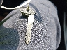 1C4PJMCX0JD****** Salvage 2018 Jeep Cherokee in New York State