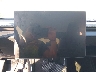 7SAYGDEE3TA****** Salvage 2026 Tesla Model Y in Pittsburgh