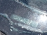 3KPF44AC3PE****** Usados 2023 Kia Forte en Dallas
