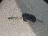 JTDJTUD31CD****** Salvage 2012 Toyota Yaris in Illinois State