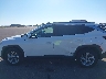 5NMJBCDE3RH****** Reparables 2024 Hyundai Tucson en Estado de Minnesota