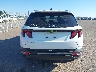 5NMJBCDE3RH****** Destrozados 2024 Hyundai Tucson