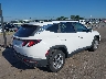 5NMJBCDE3RH****** Salvamento y Destrozados 2024 Hyundai Tucson en Estado de Minnesota