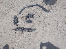 1C4RJJBG4P8****** Destrozados 2023 Jeep Grand Cherokee Limited en Estado de Arkansas
