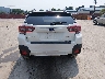 JF2GTAEC2MH****** Usados 2021 Subaru Crosstrek