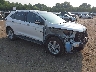 2FMPK4J91HB****** Salvage and Wrecked 2017 Ford Edge in South Bend