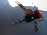 1FTEF14N6TL****** Salvamento 1996 Ford F-150 en Estado de Colorado
