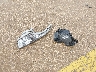 1N4AA5AP1EC****** Wrecked 2014 Nissan Maxima in Texas State