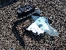 5YJ3E1EA0PF****** Salvage 2023 Tesla Model 3 in Ohio State