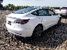 5YJ3E1EA0PF****** Salvage and Wrecked 2023 Tesla Model 3 in Ohio State