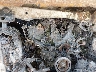 JTEBU5JR3K5****** Repairable 2019 Toyota 4Runner in Raleigh