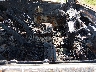 JTEBU5JR3K5****** Used and Repairable 2019 Toyota 4Runner in North Carolina State