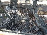 JTEBU5JR3K5****** Wrecked 2019 Toyota 4Runner in Raleigh