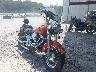 1HD1BJL41RY****** Salvage and Wrecked 1994 Harley-Davidson Heritage Softail Classic in Rec Rides Online Exclusive
