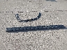 1GTRHAEK3SZ****** Destrozados 2025 GMC Sierra 1500 en Estado de Texas