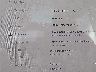 5YJ3E1EA1PF****** Wrecked 2023 Tesla Model 3