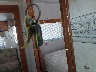 1SL200P203F****** Salvage 2002 Layton Homes Other in Iowa State