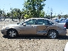 2G1WT58K469****** Reparables 2006 Chevrolet Impala en Estado de Nueva Jersey