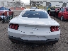 1FA6P8TH3T5****** Destrozados 2026 Ford Mustang