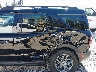 3FMCR9BN4SR****** Salvage and Repairable 2025 Ford Bronco Sport in Washington State