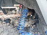 3NSR4D927LG****** Destrozados 2020 Polaris RZR en Rec Rides Online Exclusive