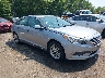 5NPE24AF6GH****** Salvage and Wrecked 2016 Hyundai Sonata in Metro DC