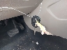 1FADP3F26DL****** Salvage 2013 Ford Focus in Texas State
