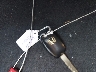 2HGFB2F50DH****** Salvamento 2013 Honda Civic en Estado de Maryland