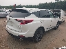 5J8TC2H88RL****** Salvamento y Destrozados 2024 Acura RDX en Estado de Massachusetts