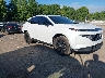 5N1AZ3BS7SC****** Salvamento y Destrozados 2025 Nissan Murano en Knoxville