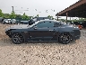 1FA6P8TH0K5****** Salvage 2019 Ford Mustang