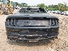 1FA6P8TH0K5****** Used 2019 Ford Mustang