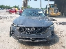 7MMVABDMXSN****** Salvamento y Reparables 2025 Mazda CX-50 en Estado de Pennsylvania