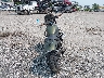 JKAENEC1XKD****** Salvamento y Reparables 2019 Kawasaki Vulcan S en Estado de Pennsylvania