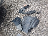 5LMEU68H75Z****** Wrecked 2005 Lincoln Aviator in South Carolina State